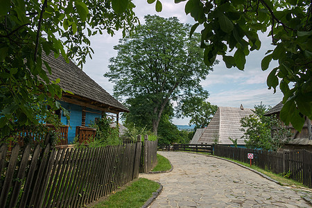 在Shevchenko的树林中 一座蓝色木屋附近的石头小巷图片