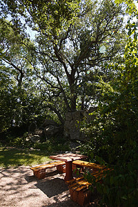 在树荫下公园内有长凳的木制壁画桌 用作散步和休息的地方图片