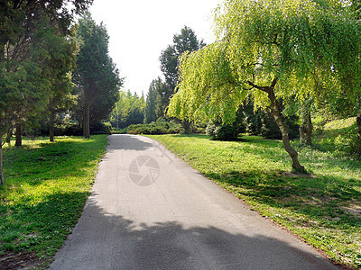 宽阔的巷子和公园 在晴朗的阳光明媚的一天图片