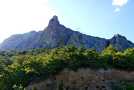蓝天下陡峭的灰岩背景上的宽阔密密林天空阳光风景山脉爬坡悬崖旅行公园绿色自然图片