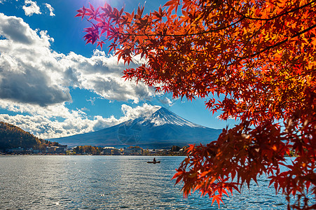 日本川口子湖的秋季山和藤山树叶场景樱花风景地标旅行火山反射叶子公吨图片