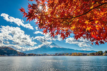 日本川口子湖的秋季山和藤山季节旅游公吨樱花反射树叶地标场景火山风景图片