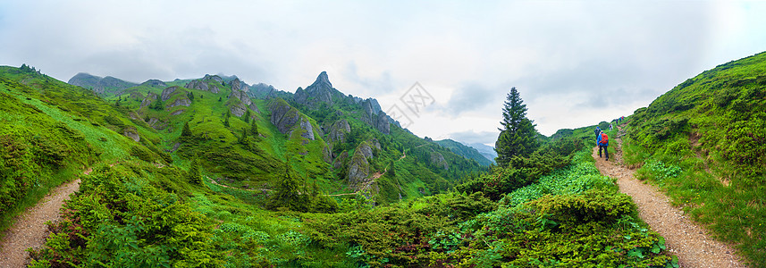 夏日去雪库卡斯山码头的劫匪旅行顶峰松树全景小路晴天山脉高山岩石树木图片