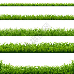 大集绿草边框植物农场花园边界地面季节国家装饰土地叶子图片