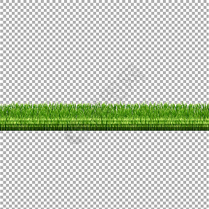 在透明背景上隔离的草边框叶子公园纹理宏观装饰农场花园国家生长场地图片