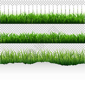 草边框大硒生长植物公园地面装饰风格国家边界环境草地图片