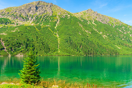 清静的山中美丽的美山湖在夏天阳光明媚的阿达图片