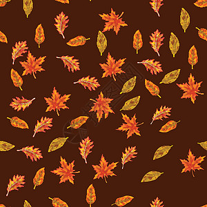 矢量无缝 带秋叶 棕色背景有不同的叶子 您设计时的秋季自然颜色 Name季节墙纸橡木褪色山灰植物绿色插图红色森林图片
