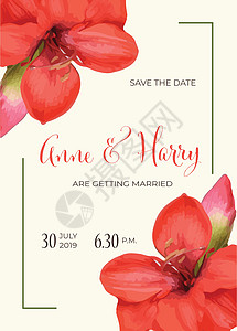 在水彩的美丽花卉婚礼邀请卡片仪式婚姻花框新娘请柬打印风格水性派对图片