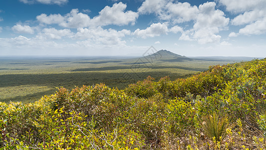 西澳大利亚菲茨杰拉尔德河国家公园旅行荒野全景植被生物远足沿海生境海岸线假期图片