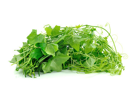 白色背景上的常春藤葫芦生产蔬菜植物健康营养食物绿色叶子食品草本植物图片