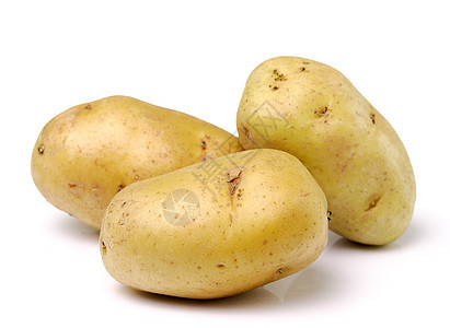 白色背景上孤立的马铃薯植物饮食蔬菜食物收成团体营养棕色土豆烹饪图片