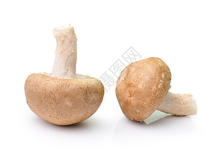 白色背景上孤立的蘑菇卫生生活保健小吃美食节食宏观团体食物蔬菜图片