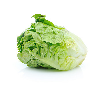 白色背景中孤立的生菜叶食物绿色工作室外邦长叶莴苣植物沙拉蔬菜叶子图片