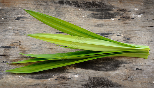 班车大乱斗香味树叶草本植物水平水处理绿色食物棕榈叶子背景图片