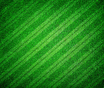 绿绿色草根 足球或足球场草地草原植物群公园草皮环境植物生长场地绿色植物图片