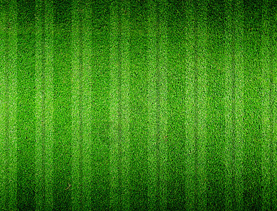 绿草线草地蟋蟀体育场运动足球草皮土地绿色背景图片