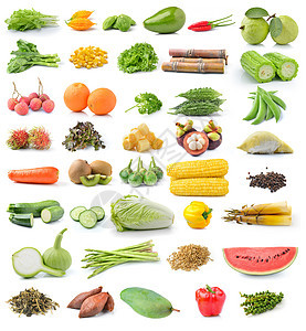 白背景的水果和蔬菜 在白色背景上隔离黄瓜奇异果山竹茄子榴莲萝卜西瓜茴香荔枝甘蔗图片