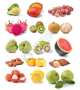 白色背景上孤立的水果收藏集Name奇异果绿色食物西瓜红色柠檬橙子蛇果拼贴画营养图片