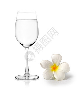 水杯和热带花朵frafipani管道温泉玻璃边界花瓣植物桌子花瓶植物群白色黄色图片