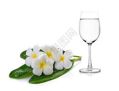 水杯和热带花朵frafipani管道温泉黄色玻璃植物群花瓶桌子植物白色花瓣边界图片