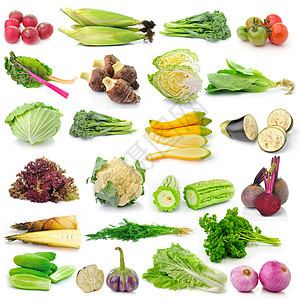 白色背景的蔬菜组合Name玉米菜花食物收藏沙拉水果芹菜绿色香菜黄瓜图片