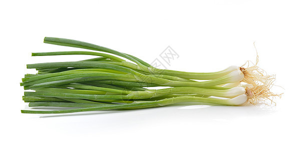 白色背景的绿洋葱植物团体植物群厨房烹饪蔬菜食物美食营养绿色图片