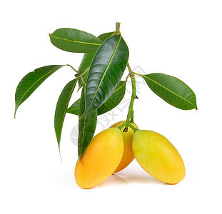 甜甜的玛丽安李梅塔伊果实气候黄色水果绿色叶子食物异国情调白色热带图片