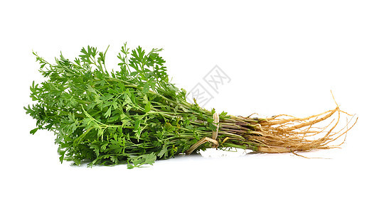 泰国在白背景上勾心斗角草本植物树叶植物食物白色蔬菜绿色叶子香料香气图片