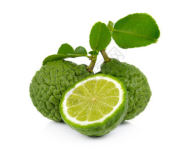 白背景的伯加莫特水果白色热带头发食物治疗叶子美食绿色草本植物蔬菜图片