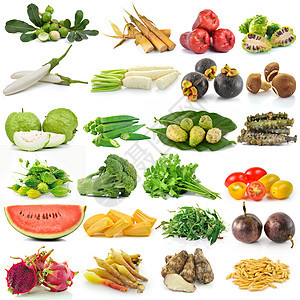 白色背景的水果和蔬菜组芹菜坚果喇叭花萝卜食物芋头木槿西瓜茄子图片