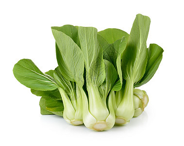 白色背景的 Bok 青蔬菜叶子植物饮食食物绿色营养美食图片