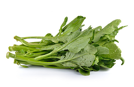 白色背景的中国芥子绿无毒食物芥菜青菜植物蔬菜绿色营养芸苔叶子图片
