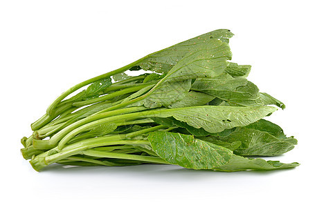 白色背景的中国芥子绿无毒芸苔绿色青菜蔬菜食物叶子植物芥菜营养图片