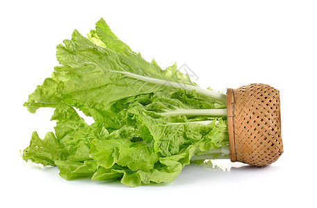 白底孤立的篮子中的生菜叶蔬菜绿色白色沙拉树叶植物营养团体饮食食物图片