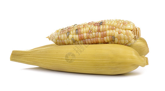 白色背景的角形玉米农场黄色蔬菜植物棒子蜡质紫色水果粮食农业图片