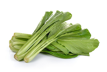 白色背景的中国芥子绿无毒叶子绿色植物芸苔芥菜营养蔬菜青菜食物图片