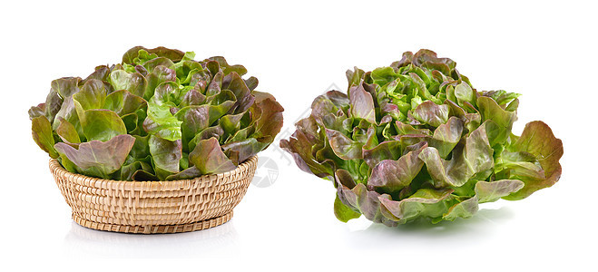 白色背景的篮子中的绿橡树沙拉蔬菜植物食物绿色树叶叶子图片