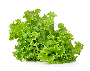 白色背景上孤立的新鲜绿色生菜多叶沙拉叶子营养蔬菜食物植物树叶图片