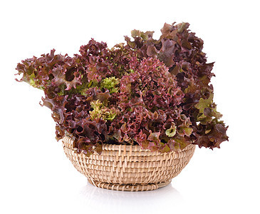 篮子里新鲜的红生菜 孤立在白色背景上多叶树叶食物红色营养蔬菜植物叶子沙拉图片