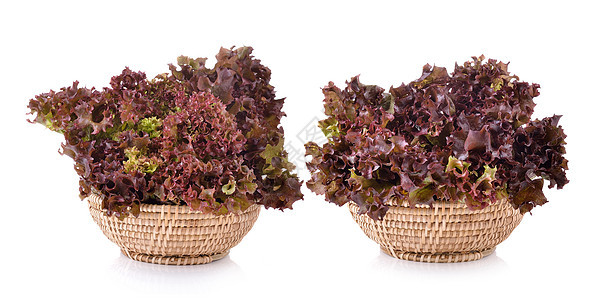 篮子里新鲜的红生菜 孤立在白色背景上叶子红色多叶食物蔬菜树叶营养沙拉植物图片