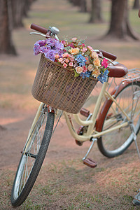 单自行车上的柔软焦点花朵背景图片