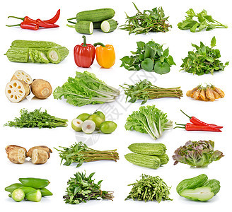 果类和蔬菜香菜手瓜莲藕苦瓜喇叭花薄荷橡木辣椒胡椒芹菜背景图片