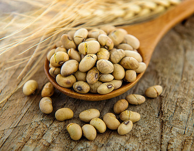 木勺中的豆豆豆子粮食农业木头食物黄色豆类纤维种子饮食图片