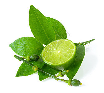 白色背景的freah石灰柠檬水果饮食绿色食物图片