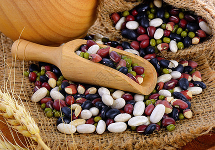 豆类混合谷物食物饮食黑色粮食脉冲植物生产白色农业营养图片