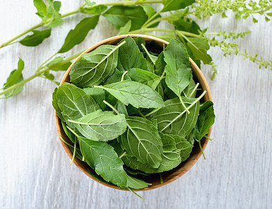 巴西尔在碗里叶子香料白色绿色花园木头树叶桌子食物草本植物芳香图片