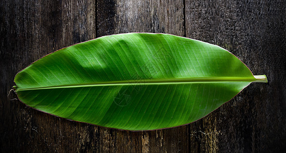 木材上香蕉叶白色场地地面绿色树叶食物棕色桌子植物叶子背景图片