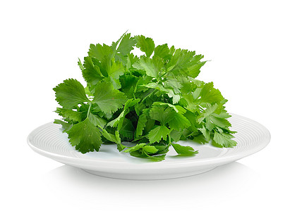 白色背景的盘子中的大菜小吃烹饪绿色生产沙拉香气叶子食物香料养分图片