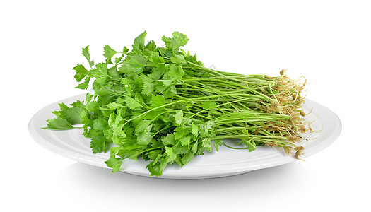 白色本底白盘中的大菜叶子小吃节食盘子食物饮食绿色烹饪蔬菜图片